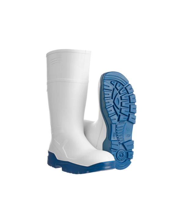 BOTA ALIMENTACIÓN WELLINGTON PU SD CI FO FD84